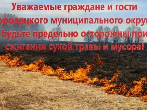 Порядок использования открытого огня и разведения костров на землях сельскохозяйственного назначения и землях населенных пунктов.